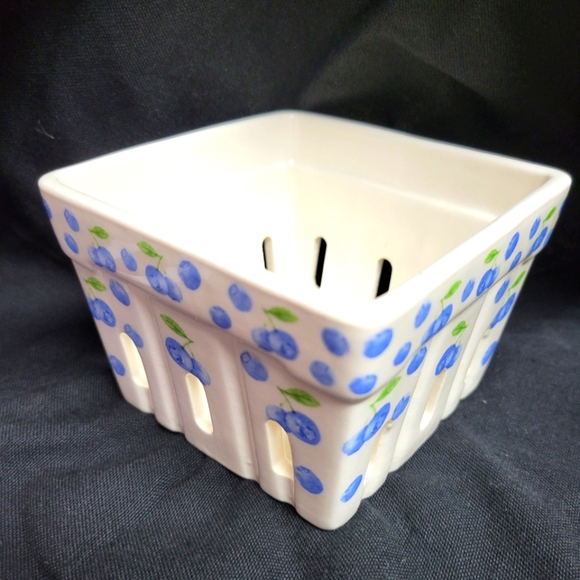 Laketown Treasures Other - 🛒🛍️💥Nwot berry cute ceramic blueberry print berry container